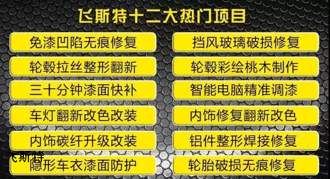 飞斯特汽车特色技术培训项目